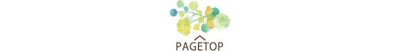 pagetop